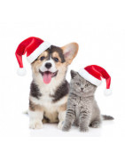 Cadeaux de Noel de luxe pour animaux